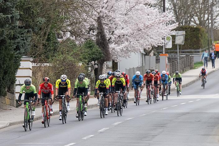 Das Peleton in Leonding, Herren Elite, U23, Radliga, 62. Radsaison-Eröffnungsrennen Leonding, Oberösterreich 