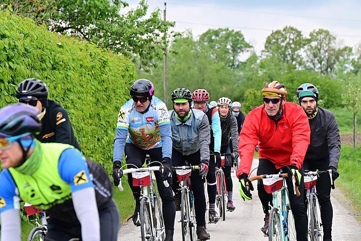 8. Kirschblüten Radklassik, Rad Klassik, Oldtimer, Vintage, Stahlrad, Radsport, Eferding, Oberösterreich