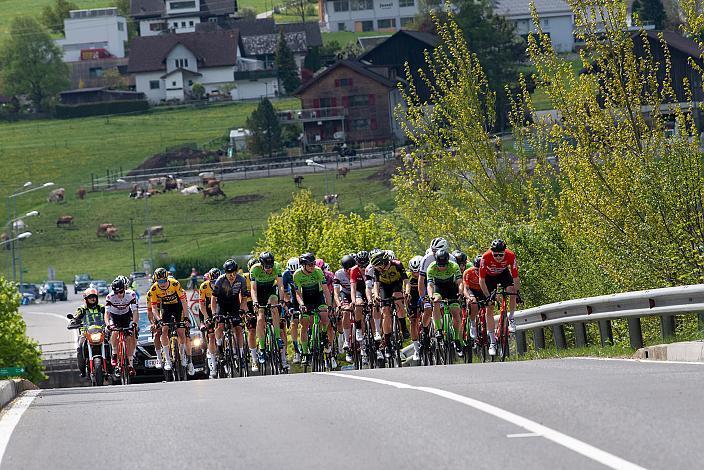 Herren Elite, U23, Radliga, GP Vorarlberg, Nenzing