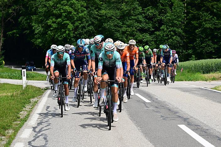 Das Peloton unterwegs im Traunviertel  3. Etappe Asten - Bad Schallerbach, Oberösterreich Rundfahrt