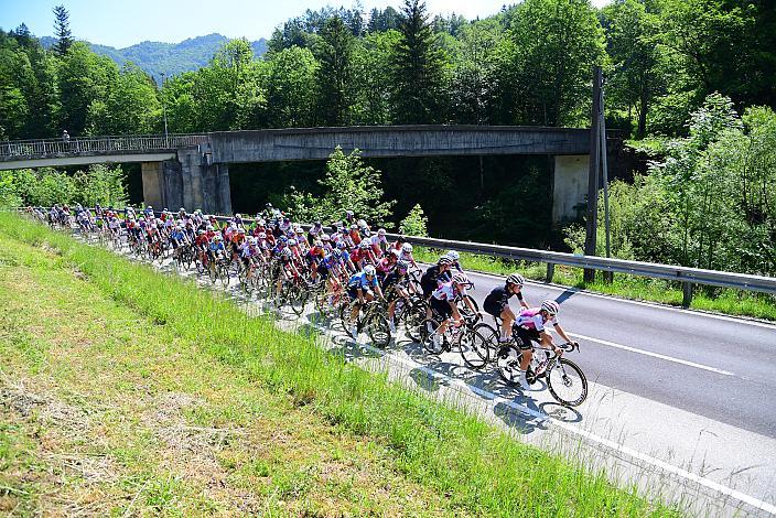 Das Peloton unterwegs im Ybbstal zum Hochkar, Ybbsitz - Hochkar, Sportland NÖ women tour