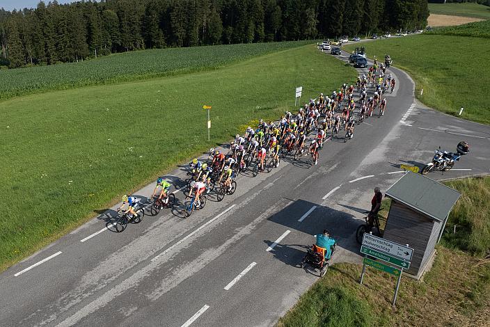 Das Peloton bei Putzleinsdorf, 2. Etappe Sarleinsbach - Sarleinsbach, Int. Oberösterreichische Versicherung OÖ Junioren Oberösterreich Rundfahrt