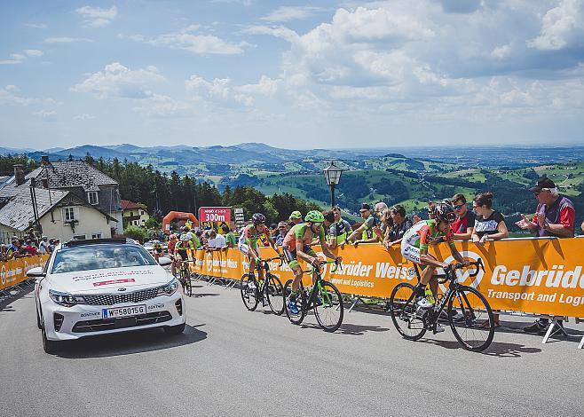 Jonas Rapp (GER, Hrinkow Advarics Cycleang) 7. Etappe Waidhofen/Ybbs - Sonntagberg 70. Ã–sterreich Rundfahrt 