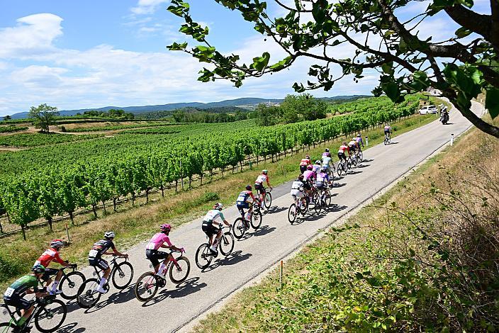 5. Etappe von Langenlois nach Wien, 109km, Tour of Austria