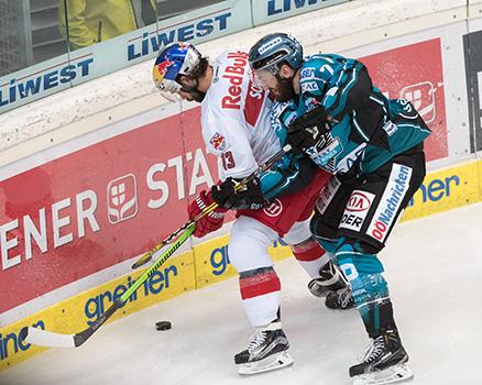 Michael Schiechel (EC Red Bull Salzburg) und Brett Palin (EHC Liwest Black Wings Linz), EHC Liwest Black Wings Linz vs EC Red Bull Salzburg