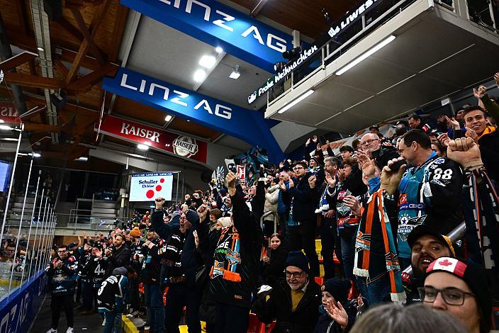 Jubelnde Fans nach dem Tor zum 3 zu 2, Steinbach Black Wings Linz vs Hydro Fehervar AV19, Weihnachtstrikot ICE Eishockey Liga, Linz AG Eisarena