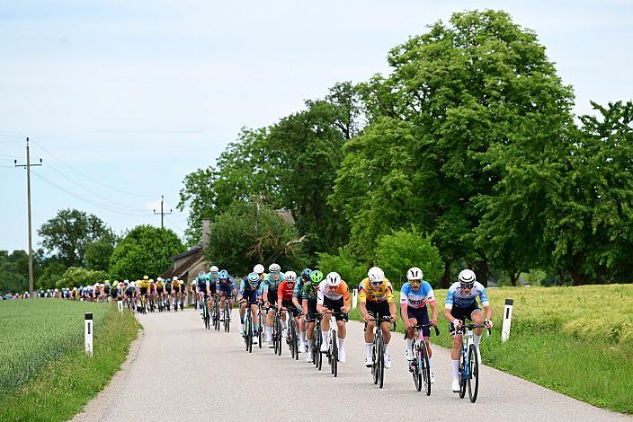 Das Peloton unterwegs im Traunviertel  3. Etappe Asten - Bad Schallerbach, Oberösterreich Rundfahrt