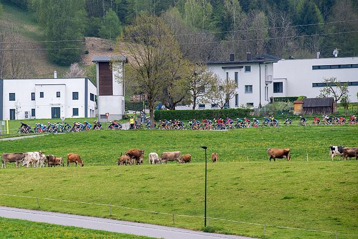 Das Peleton vor Nenzing  Herren Elite, U23, Radliga, GP Vorarlberg, Nenzing