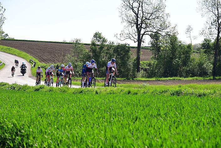 Damen Elite, U23, Road Cycling League Austria, 63. Raika Kirschbluetenrennen, Wels, Oberösterreich