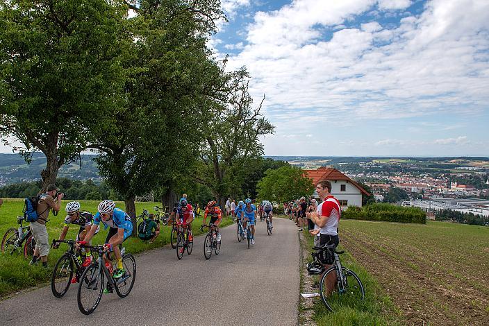 Das Peleton am Porscheberg 2. Etappe Mondsee - Steyr, 68. Int. Österreich-Rundfahrt-Tour of Austria (2.1)