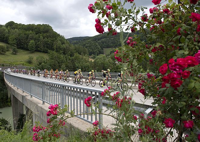 Das Fahrerfeld Ã¼berquert die Enns, 3. Etappe Traun - Ternberg, Radsport 10. Int. OOE Rundfahrt  