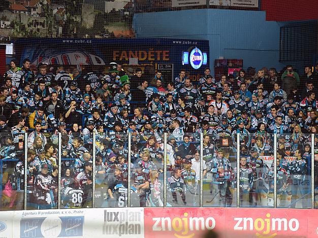 Linz Fans in Znaim HC Orli Znojmo vs. EHC Liwest Black Wings Linz 5. Viertelfinale, Play-Off