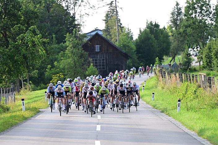 Das Feld in der Abfahrt vom  Mistelbacher Berg. 1. Etappe Marchtrenk  - Marchtrenk, Int. Oberösterreichische Versicherung OÖ Junioren Oberösterreich Rundfahrt