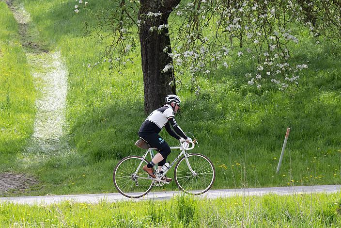 7. Kirschblüten Radklassik, Rad Klassik, Oldtimer, Vintage, Stahlrad, Radsport, Eferding, Oberösterreich