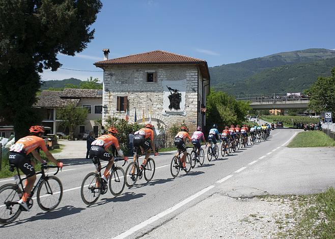 Das Feld in der Prosecco Region, Giro, Giro d Italia, Radsport, 102. Giro d Italia - 19. Etappe  