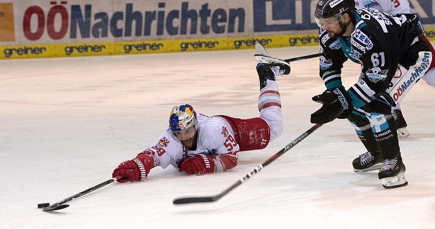 Patrick Spannring (EHC Liwest Black Wings Linz), Julien Brouillette (EC Red Bull Salzburg) EHC Liwest Black Wings Linz vs EC Red Bull  Salzburg 2. Semifinale