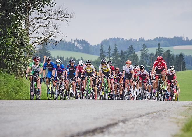 Das Feld in Rohrbach 2. Etappe Rohrbach - Rohrbach Oberoesterreich Juniorenrundfahrt (2.1)