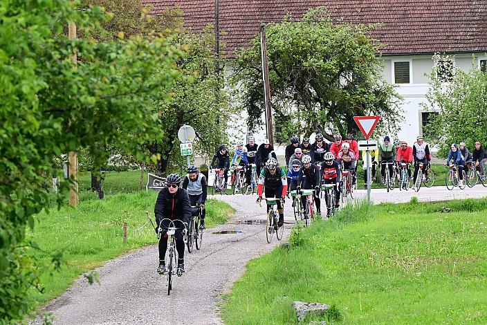 8. Kirschblüten Radklassik, Rad Klassik, Oldtimer, Vintage, Stahlrad, Radsport, Eferding, Oberösterreich