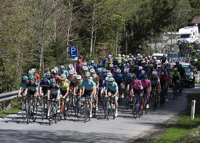 das Peleton bei Maria Stein
