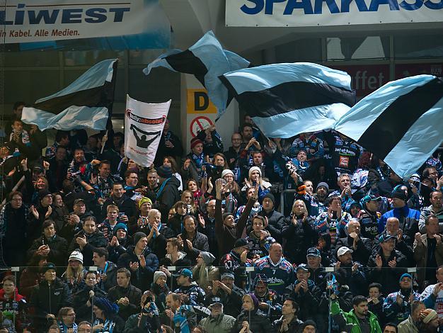 Linzer Fans feiern, EHC Liwest Black Wings Linz vs EC KAC