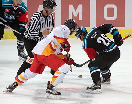 Rob Hisey, Linz EHC Liwest Black Wings Linz vs Duesseldorfer EG