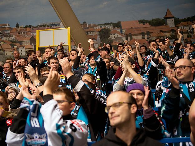 Linzer Fans feiern HC Orli Znojmo vs. EHC Liwest Black Wings Linz 5. Viertelfinale, Play-Off