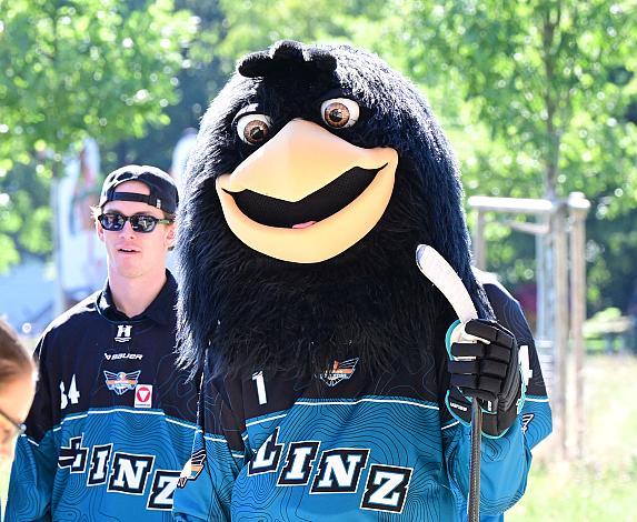 Luis Lindner (Steinbach Black Wings Linz), das Steinbach Blackwings Linz Maskottchen Gonzo, Die Steinbach Black Wings Linz,  TeamPräsentation,  Steinbach Black Wings Linz