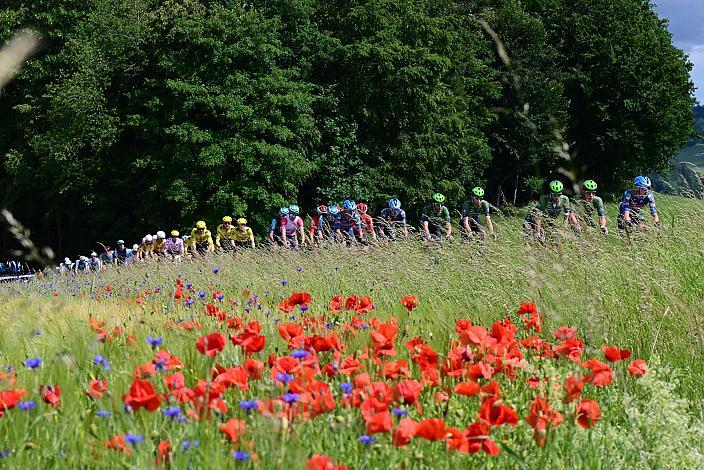 Das Peloton unterwegs im Innviertel, 2. Etappe Eferding - Reichersberg, Oberösterreich Rundfahrt