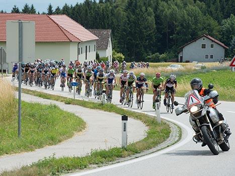 Das Hauptfeld in der Steigung,  OOE Rundfahrt, 2. Etappe Linz - Aigen/Schlaegel          