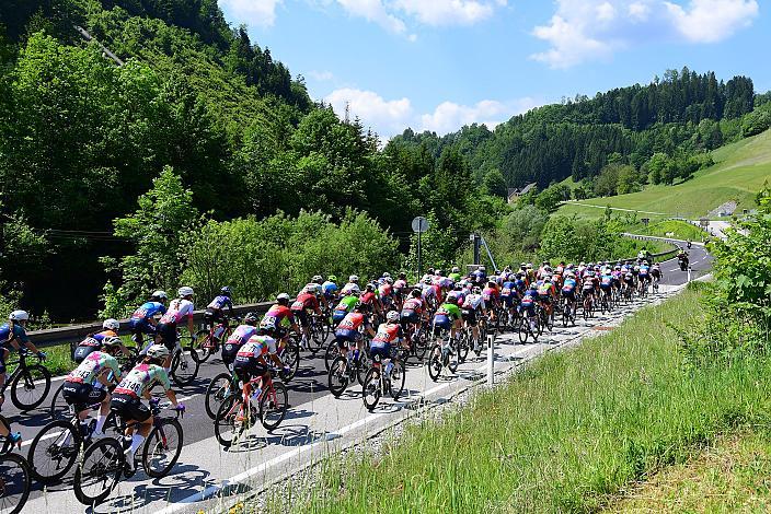 Das Peloton unterwegs im Ybbstal zum Hochkar, Ybbsitz - Hochkar, Sportland NÖ women tour