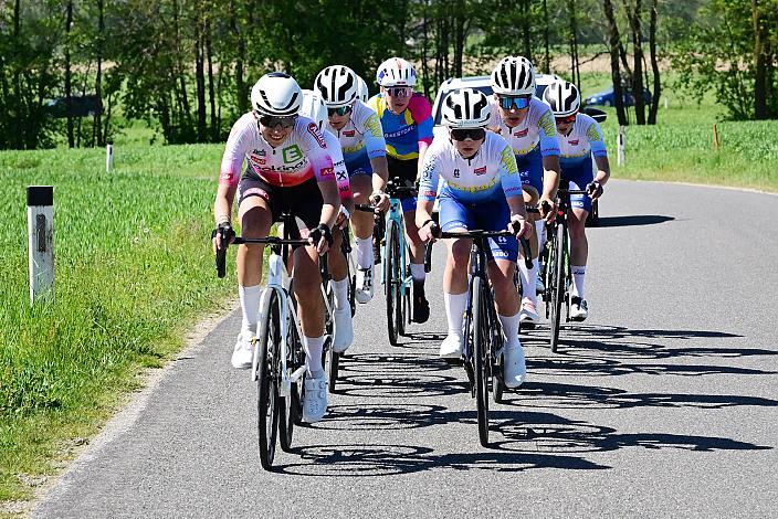 Damen Elite, U23, Road Cycling League Austria