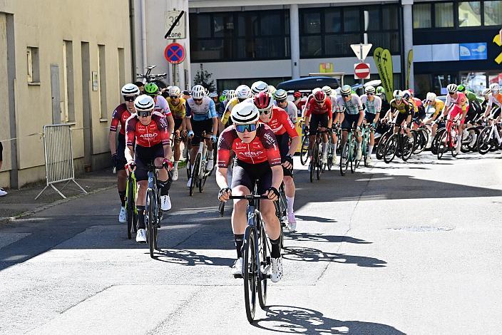Herren Elite, U23, Road Cycling League Austria