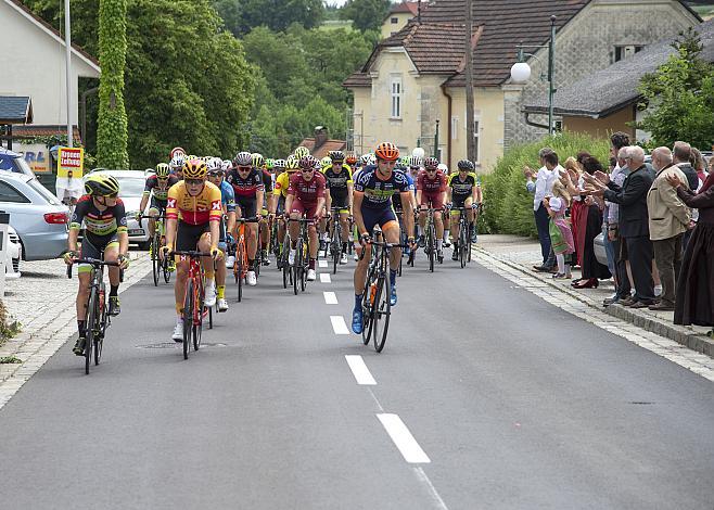 Das Feld bei Alhaming 3. Etappe Traun - Ternberg, Radsport 10. Int. OOE Rundfahrt