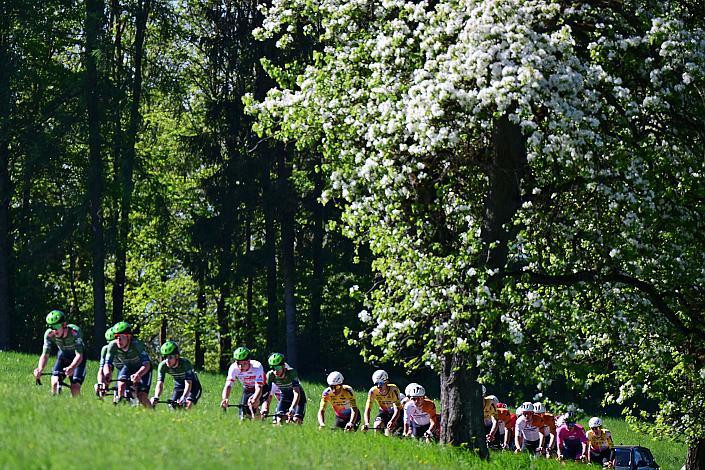 Das Peloton Herren Elite, U23, Road Cycling League Austria, 64. Raika Kirschbluetenrennen, Wels, Oberösterreich
