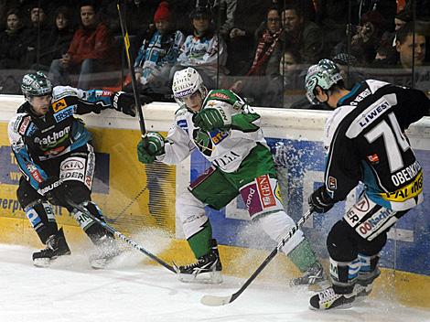 Michael Mayr und Daniel Oberkofler Linz und der Slowene Erik Pance. EHC Liwest Black Wings Linz vs. HDD Tilia Olimpija Ljubljana 