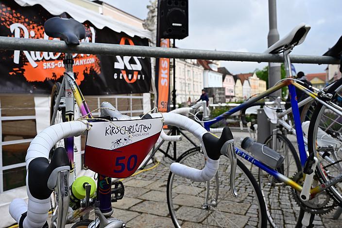 Rennrad, Frühling, Kirschblüten Radklassik, Oberösterreich, 