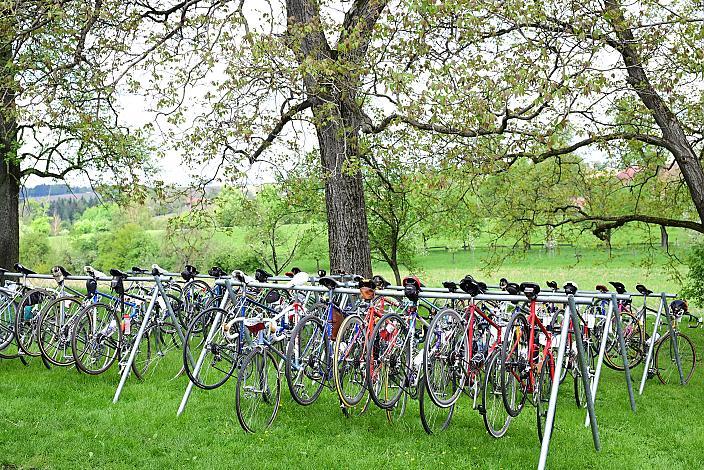 Rennrad, Frühling, Kirschblüten Radklassik, Oberösterreich, 