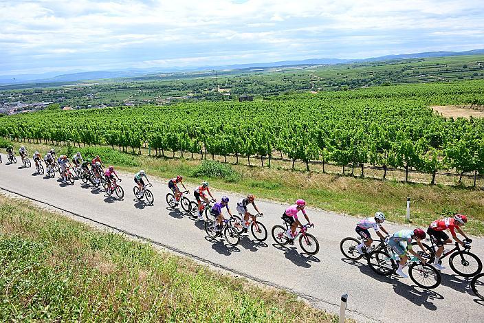 5. Etappe von Langenlois nach Wien, 109km, Tour of Austria