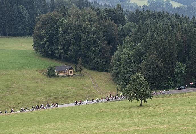 Das Feld im Anstieg zum Gmundner Berg 