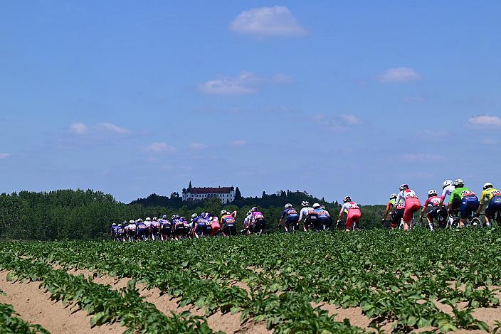 2. Etappe Peloton, Sportland NÖ women tour