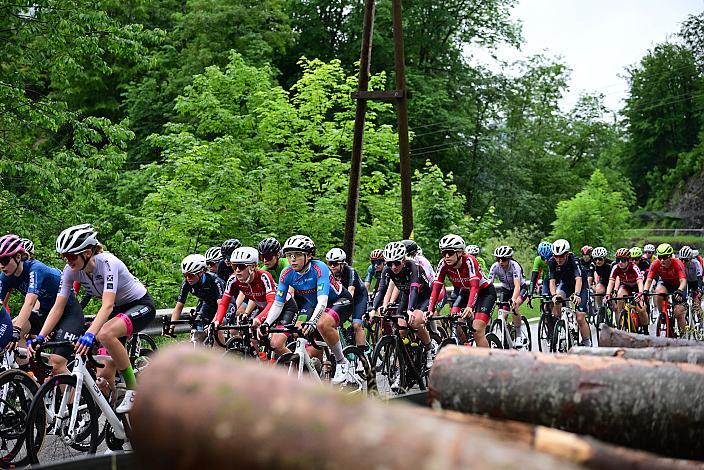 02.06.2024. 4. Etappe, Waidhofen an der Ybbs. - Hochkar,  Sportland NOE WOMENS  KIDS Tour