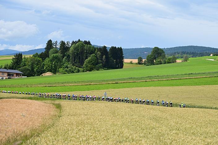 Das Peloton auf der 2. Etappe unterwegs von , Wels nach Aigen - Schlägl, 14. Int. Raiffeisen OÖ-Radrundfahrt UCI Kat. 2.2