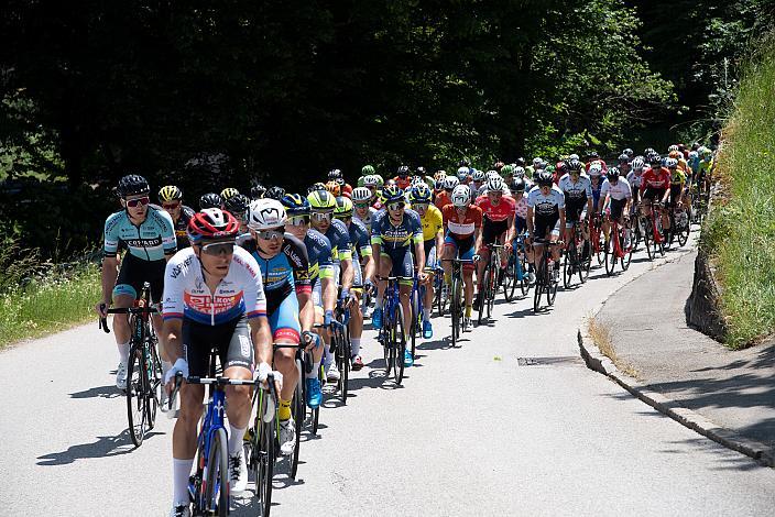 Das Feld zur Bergwertung Baum Mitten in der Welt,  3. Etappe Traun - Hinterstoder, Int. Raiffeisen Oberösterreich Rundfahrt UCI Kat. 2.2