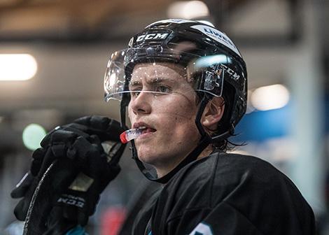 Stefan Gaffal (EHC Liwest Black Wings Linz)  EHC Liwest Black Wings Linz  vs Straubing Tigers