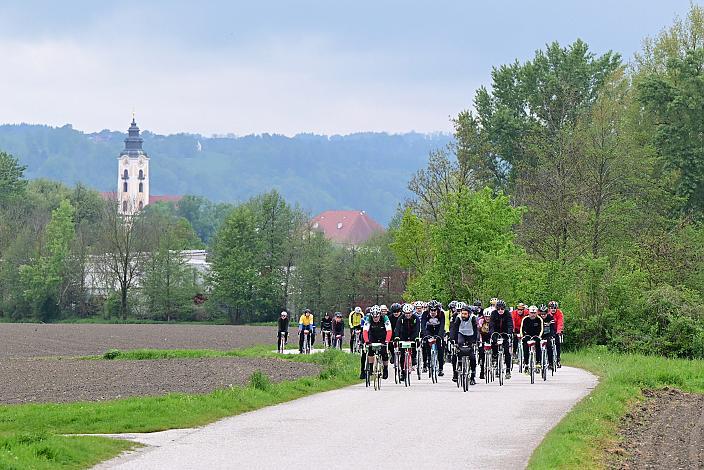 8. Kirschblüten Radklassik, Rad Klassik, Oldtimer, Vintage, Stahlrad, Radsport, Eferding, Oberösterreich
