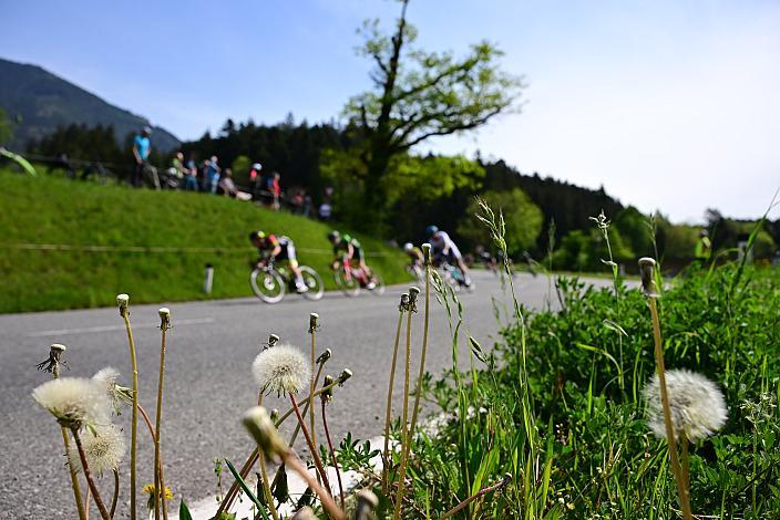 Herren Elite, U23, Road Cyling League Austria, Radliga, GP Vorarlberg, Nenzing