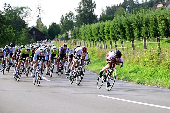 Das Peloton in der Abfahrt vom Mistelbacher Berg, 1. Etappe Marchtrenk  - Marchtrenk, Int. Oberösterreichische Versicherung OÖ Junioren Oberösterreich Rundfahrt