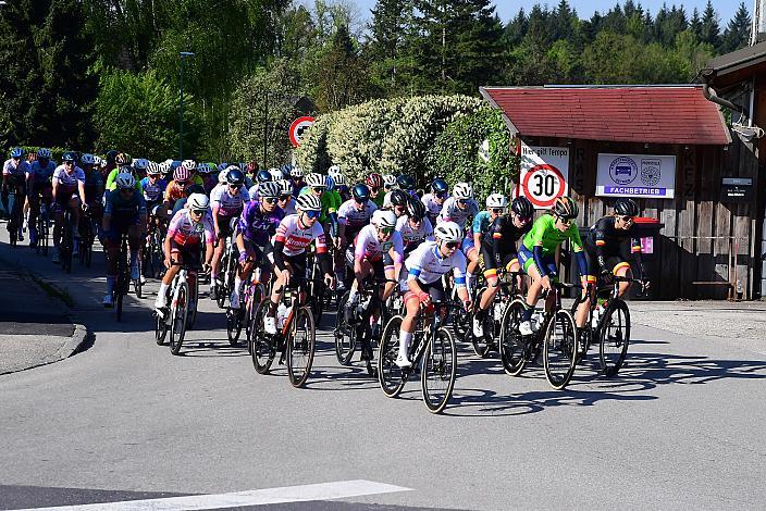 Damen Elite, U23, Road Cycling League Austria, 63. Raika Kirschbluetenrennen, Wels, Oberösterreich
