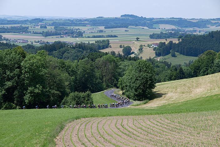 Das Peleton in der Abfahrt von Stroheim, 1. Etappe Eferding - Geinberg, Int. Raiffeisen Oberösterreich Rundfahrt UCI Kat. 2.2