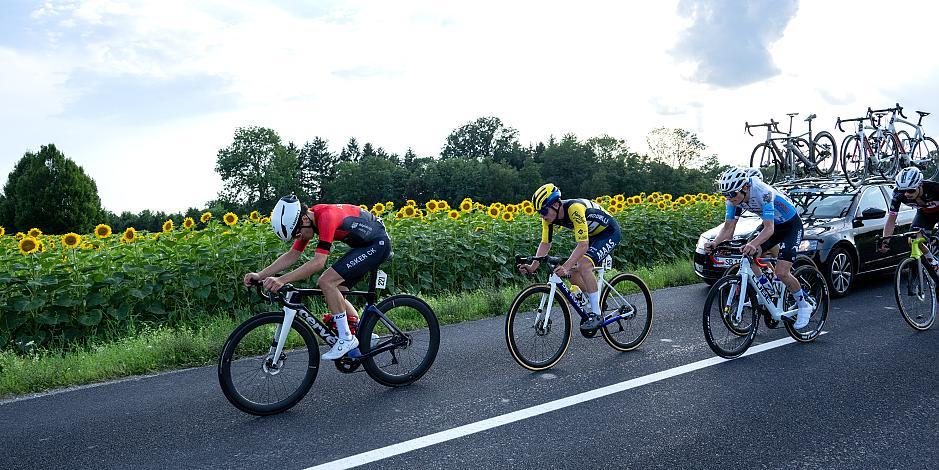 Das Peloton bei Marchtrenk 1. Etappe Marchtrenk  - Marchtrenk, Int. Oberösterreichische Versicherung OÖ Junioren Oberösterreich Rundfahrt 